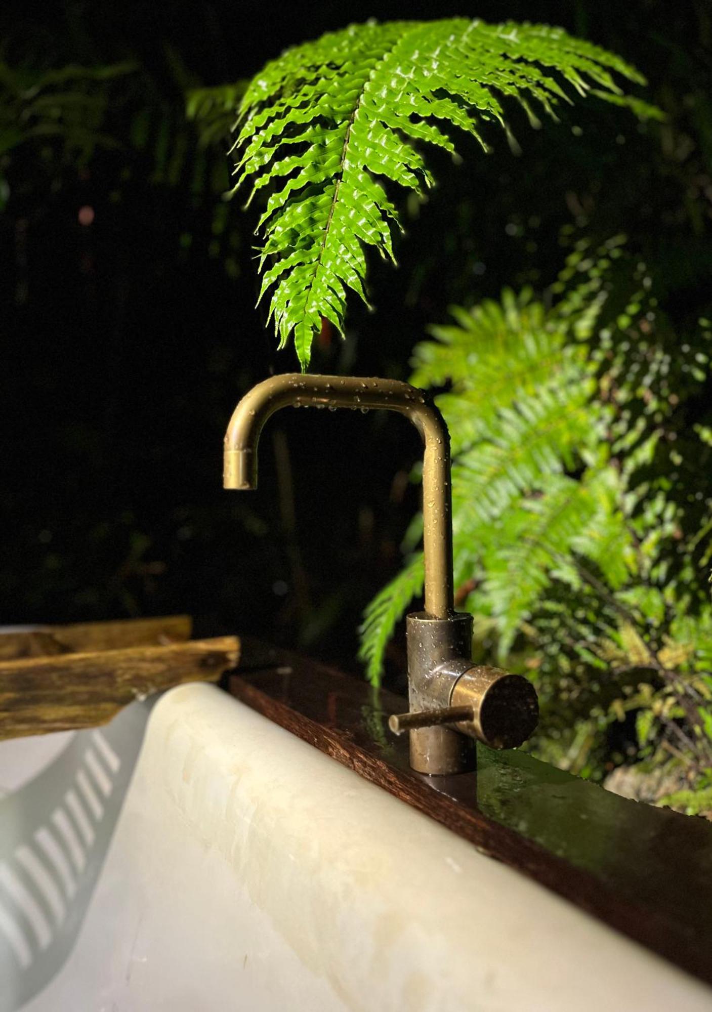 Punakaiki Forest Retreat ภายนอก รูปภาพ